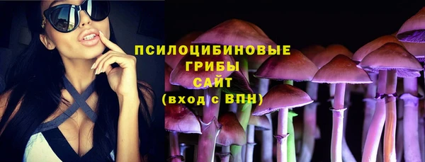 PSILOCYBIN Медногорск