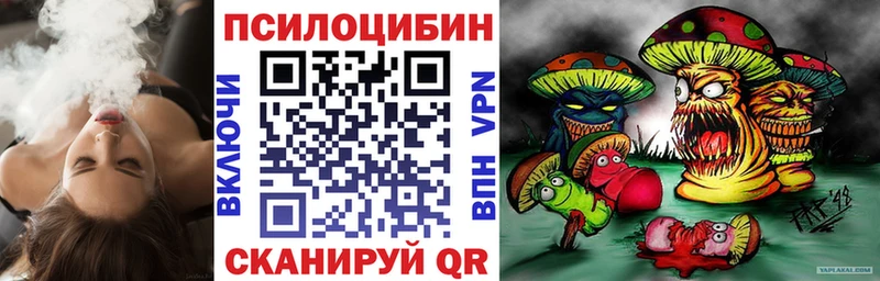 Псилоцибиновые грибы прущие грибы  блэк спрут рабочий сайт  Шлиссельбург 